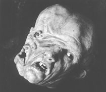 File:Creature01 mutato.jpg