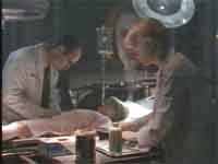 File:Video xf507.jpg
