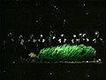 Thumbnail for version as of 19:50, 26 November 2009