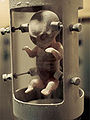 Thumbnail for version as of 13:24, 17 October 2009