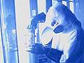 Thumbnail for version as of 18:06, 18 October 2009